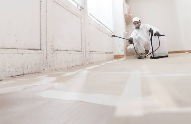 24/7 Emergency Attic Mold Removal experts in Roebling, NJ